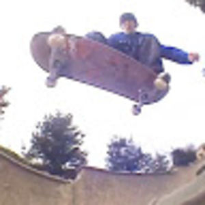 Meet your Posher, Toby